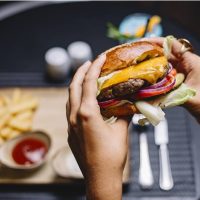 visaocomercios-hamburgueriazonaoeste-hamburgueriaavenda-negociolucrativo